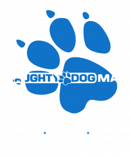 Naughty Dog Mag Créateur