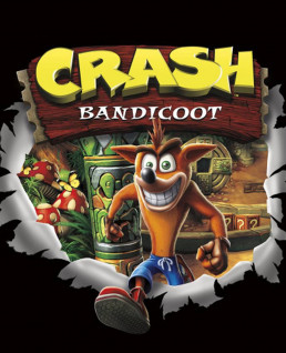 Jaquette Crash Bandicoot
